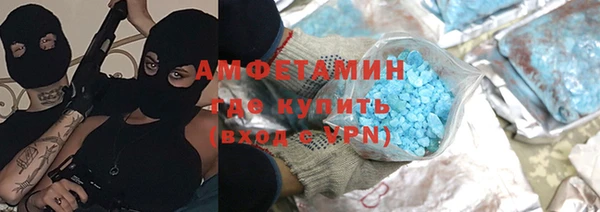 амф Новозыбков