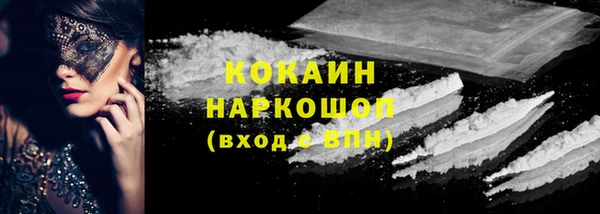 амф Новозыбков