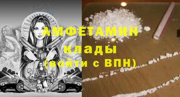 амф Новозыбков