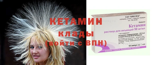 амф Новозыбков
