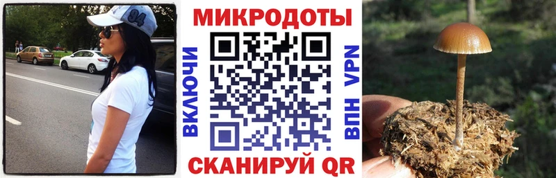 мориарти какой сайт  Нижние Серги  Галлюциногенные грибы Psilocybe  купить закладку  блэк спрут ONION 